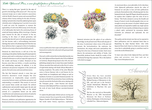 Article by Gerhard Marx about Little Sphaeroid Press and the artwork of Janet Snyman