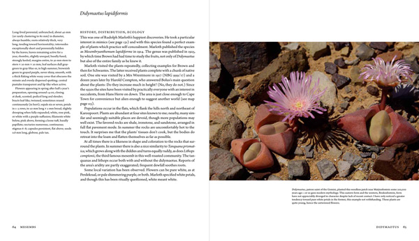 Didymaotus chapter spread 2